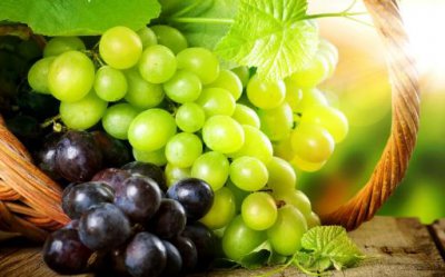 ​葡萄长时间保存有诀窍 葡萄的功效与营养价值大揭秘
