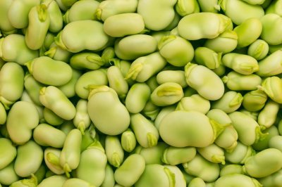 ​蚕豆种植时间和方法