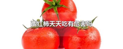 ​西红柿天天吃好吗 一直吃西红柿有害吗