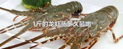 ​一斤大的龙虾蒸几分钟才能熟 一斤的小龙虾蒸多久