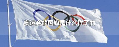 ​奥运会中国队国旗 奥运中国国旗升起